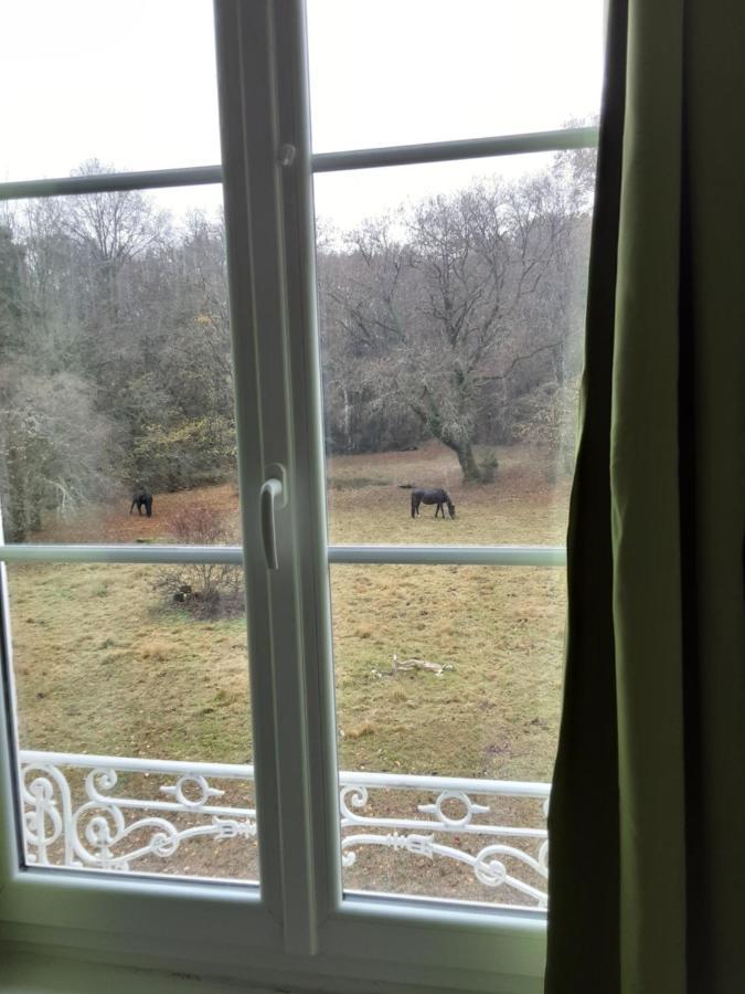 Chateau De La Touche Proche Poitiers Hotel Savigny-Levescault Luaran gambar